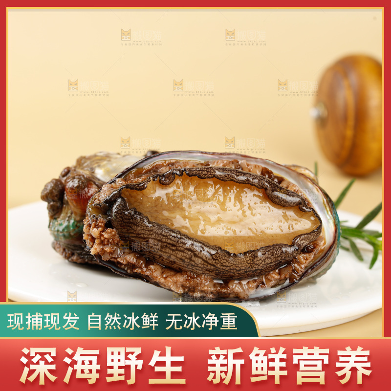 鲍鱼