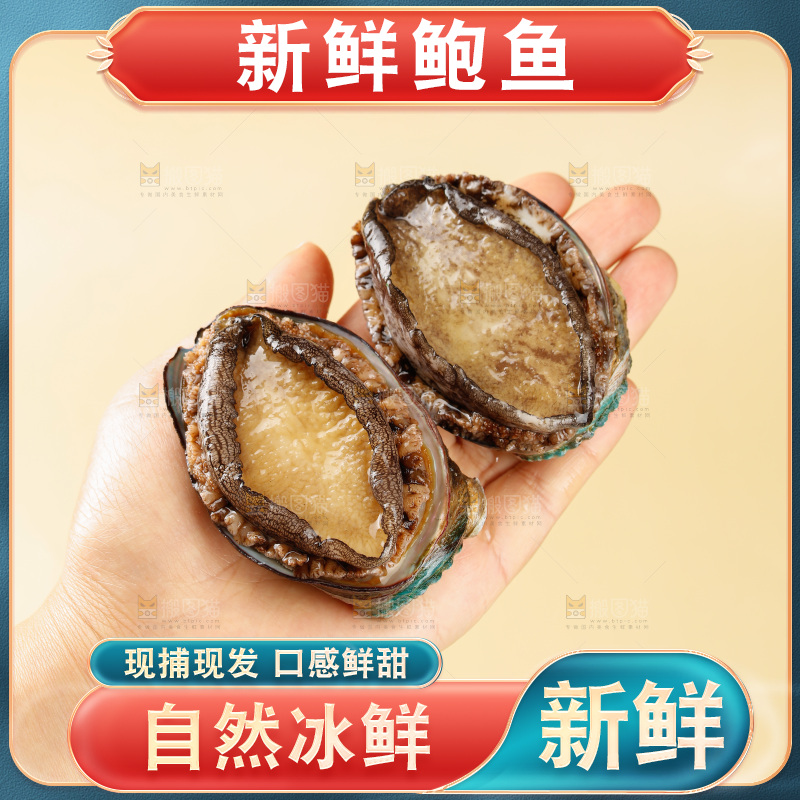 鲍鱼