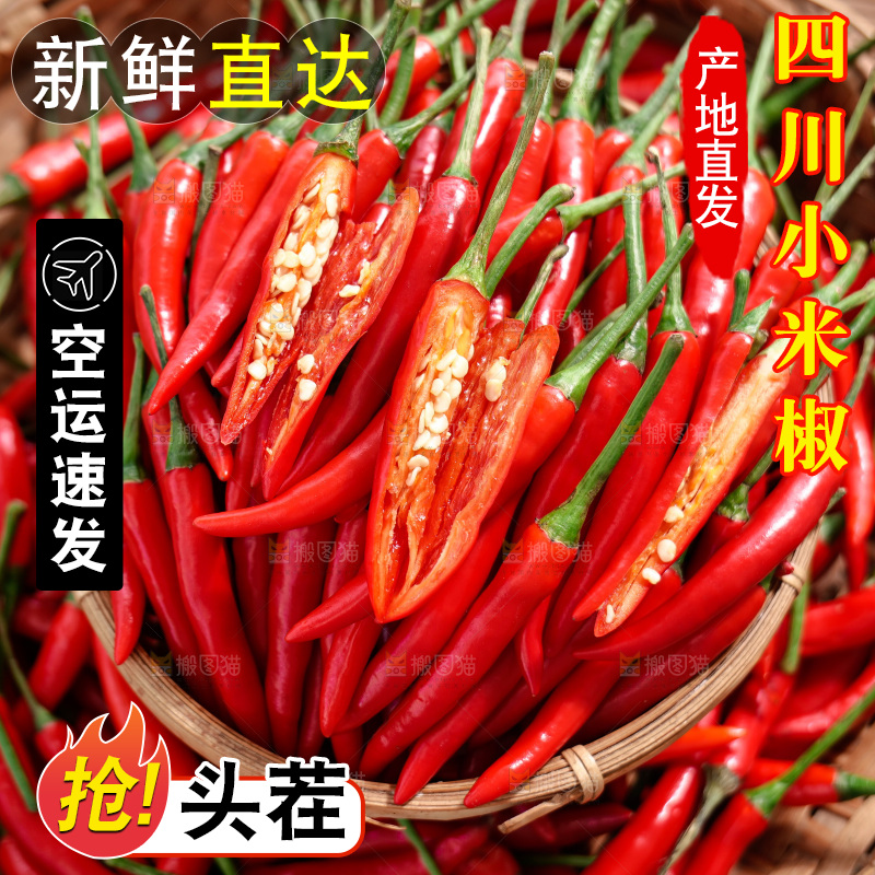小米椒