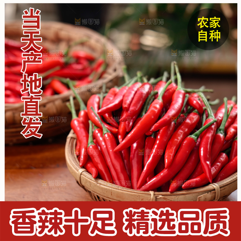 小米椒