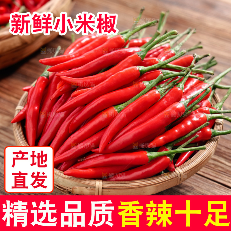 小米椒