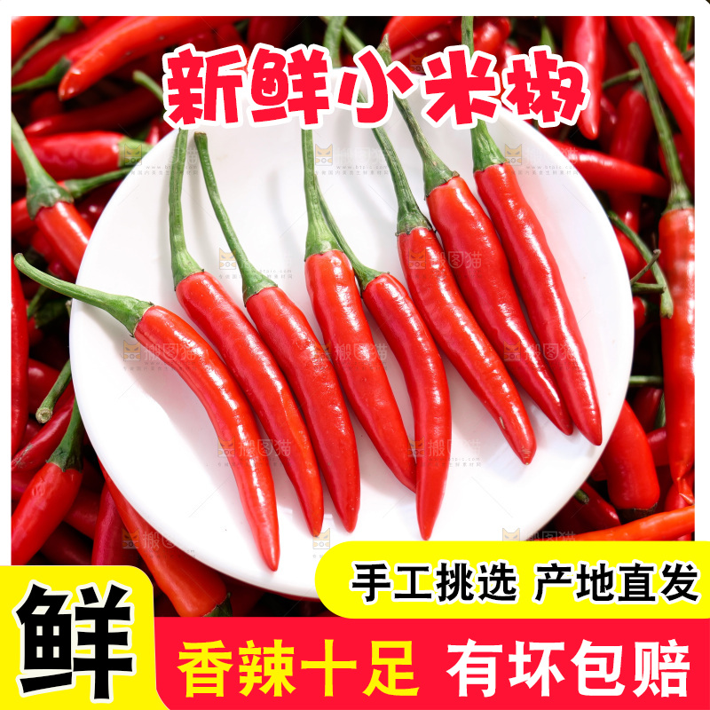 小米椒