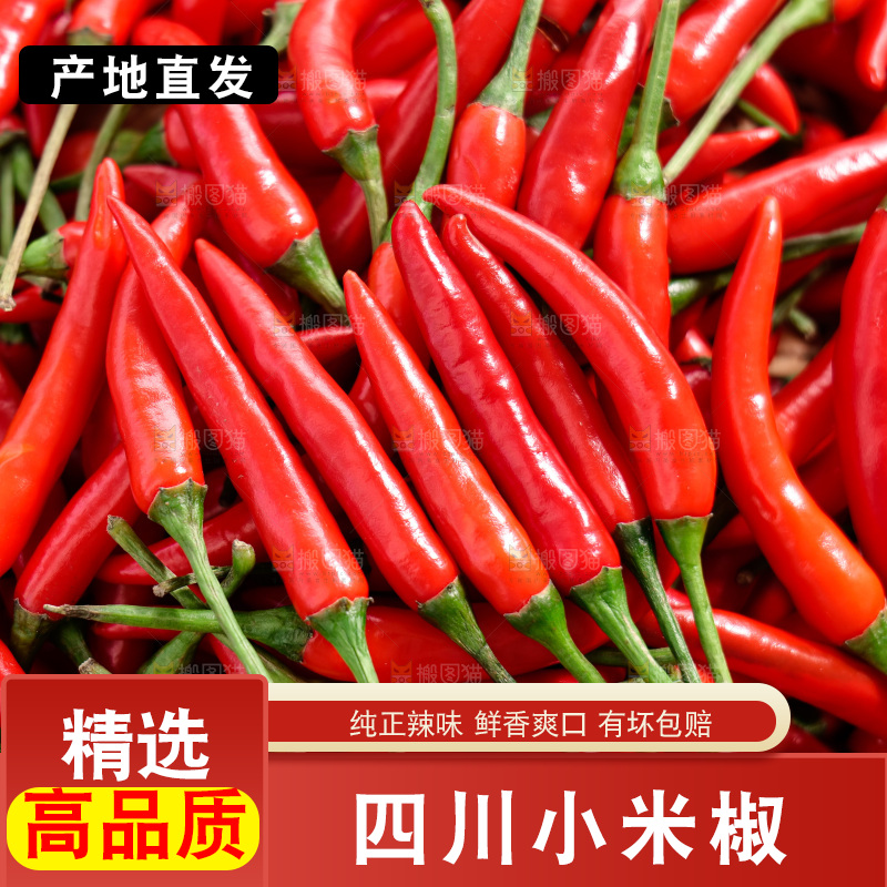 小米椒