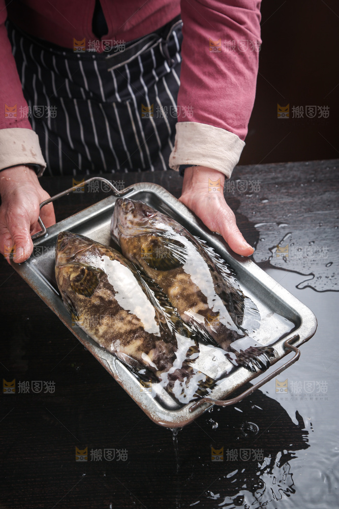石斑鱼