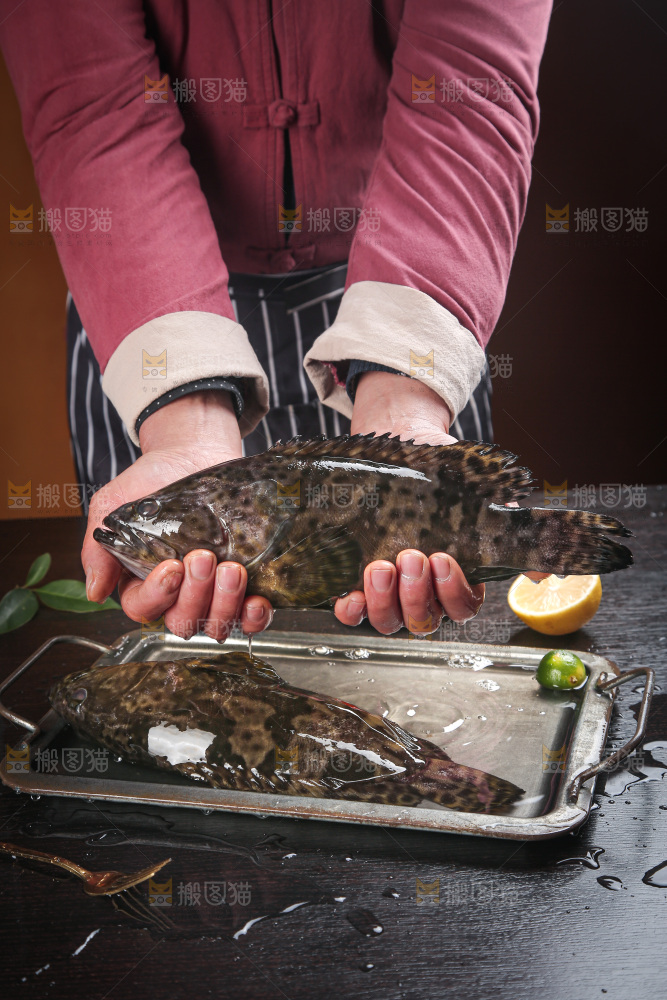 石斑鱼