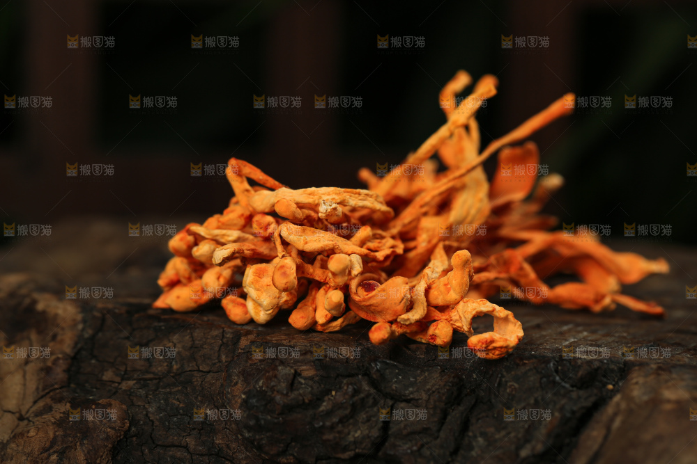 深底上的虫草花