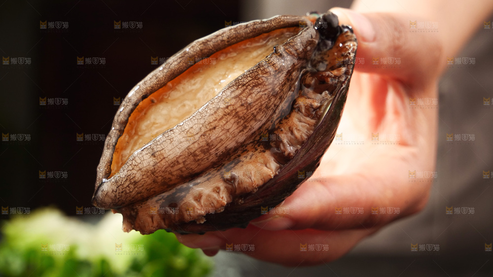 鲍鱼