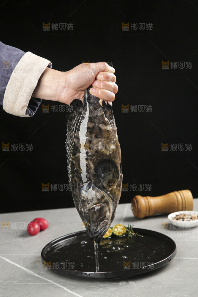 石斑鱼