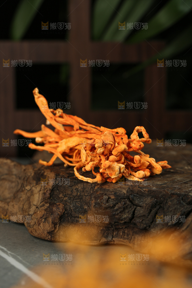 深底上的虫草花
