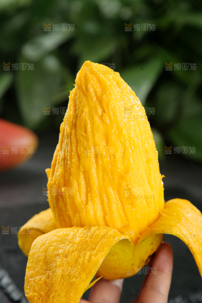 贵妃芒