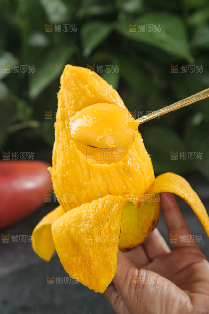 贵妃芒