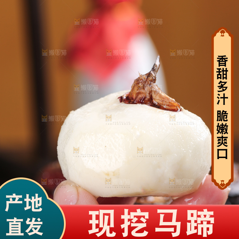 马蹄