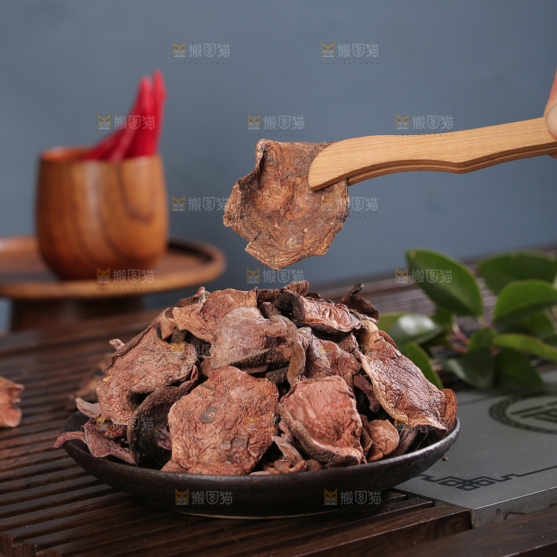 红乳牛肝菌