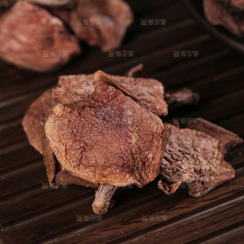 红乳牛肝菌