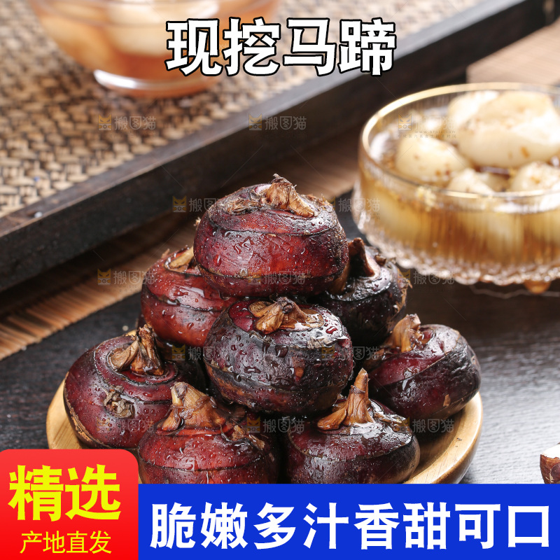 马蹄