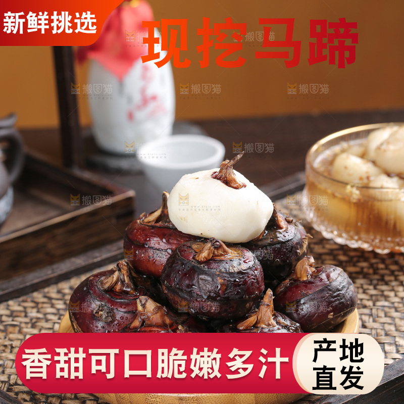 马蹄