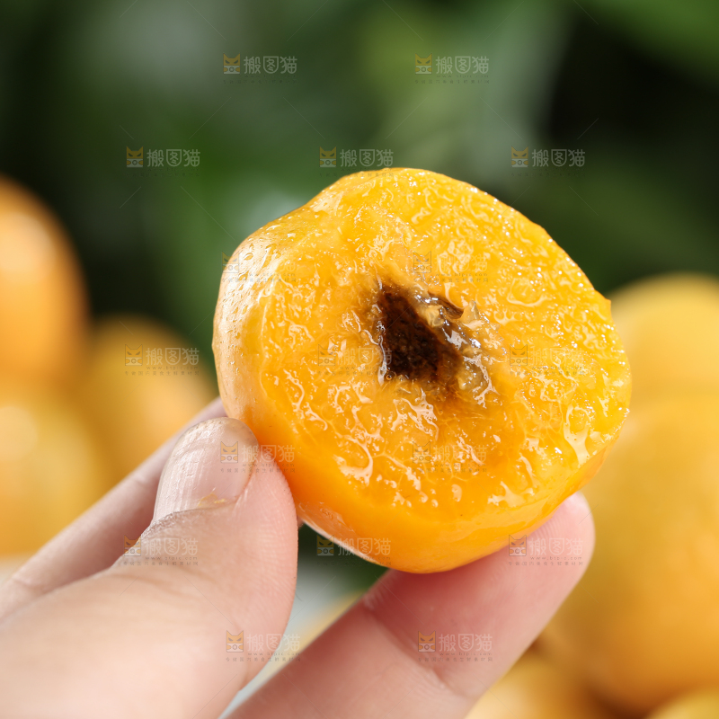 李广杏