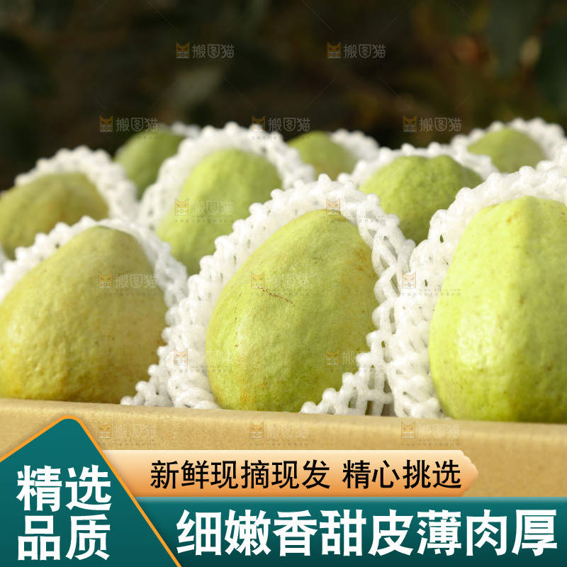白心芭乐