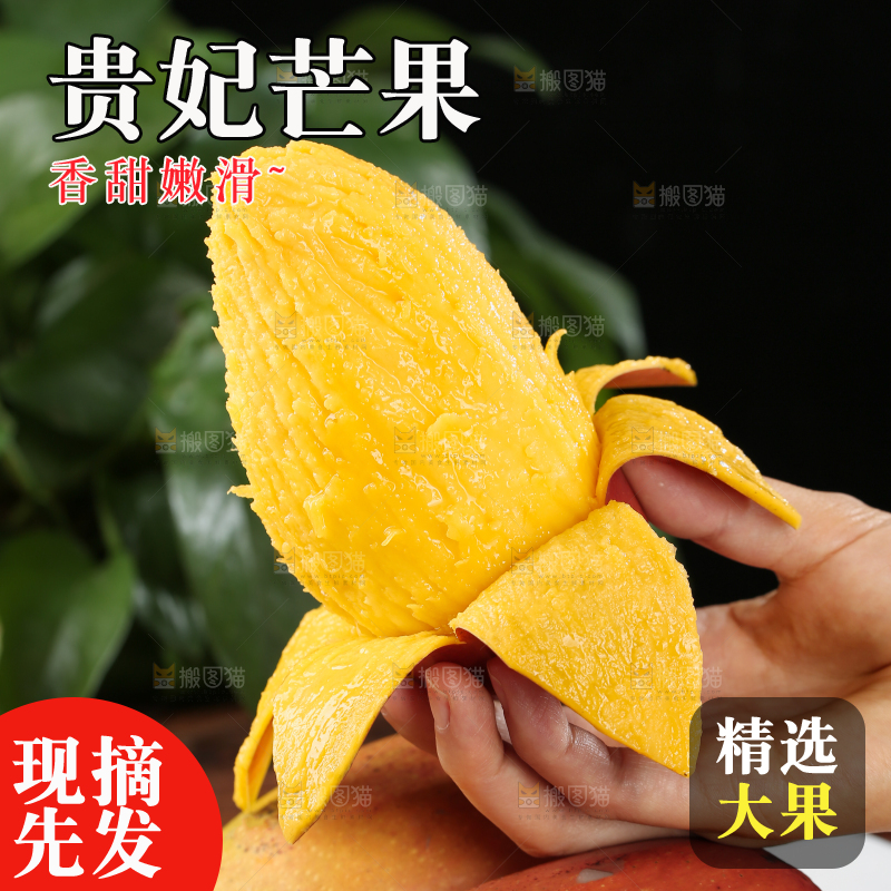 贵妃芒