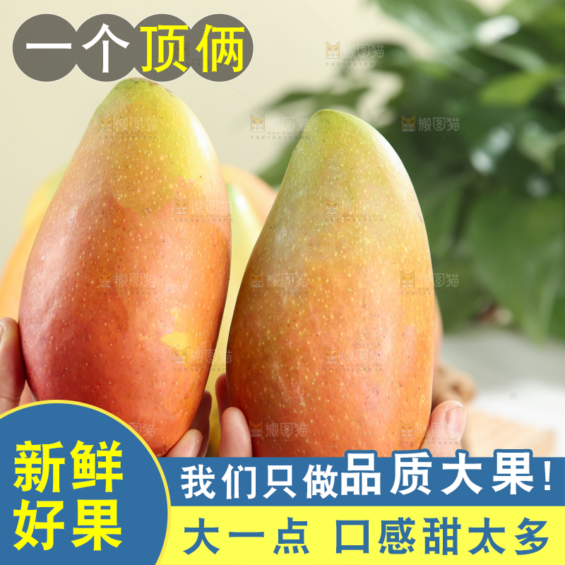 贵妃芒