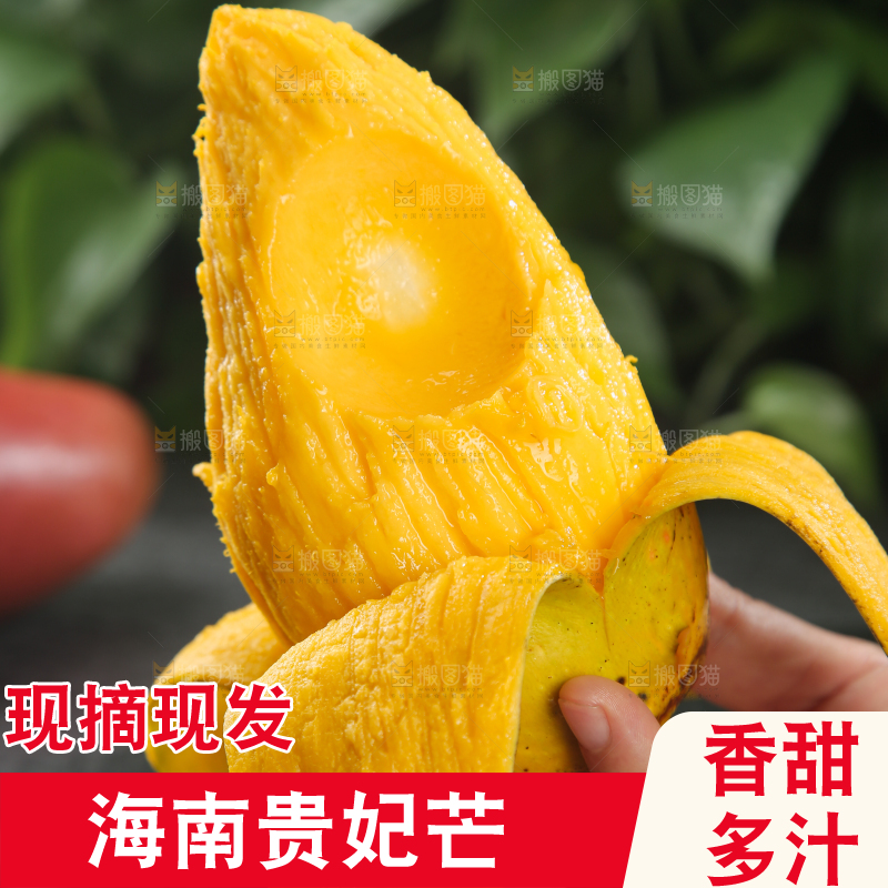 贵妃芒