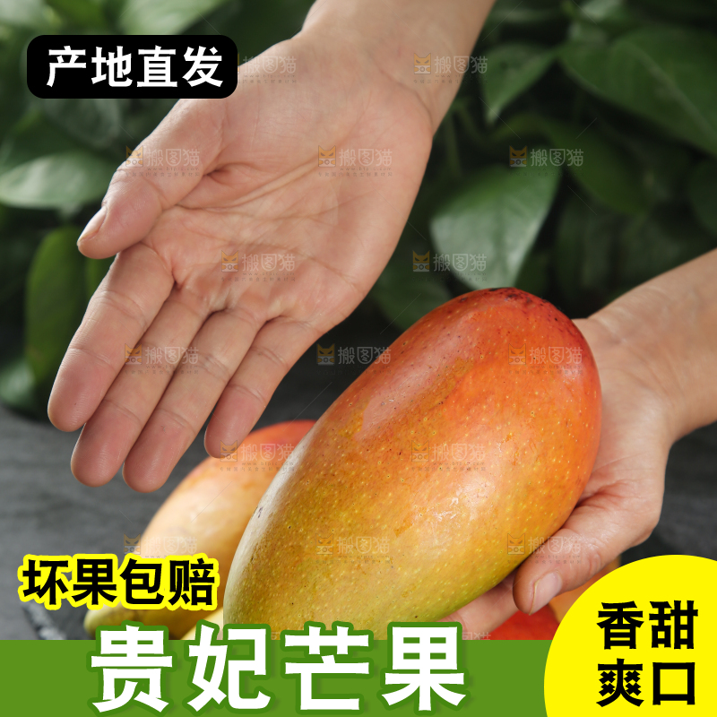 贵妃芒