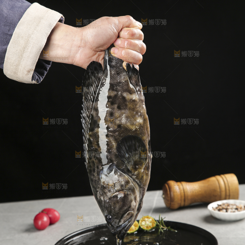 石斑鱼