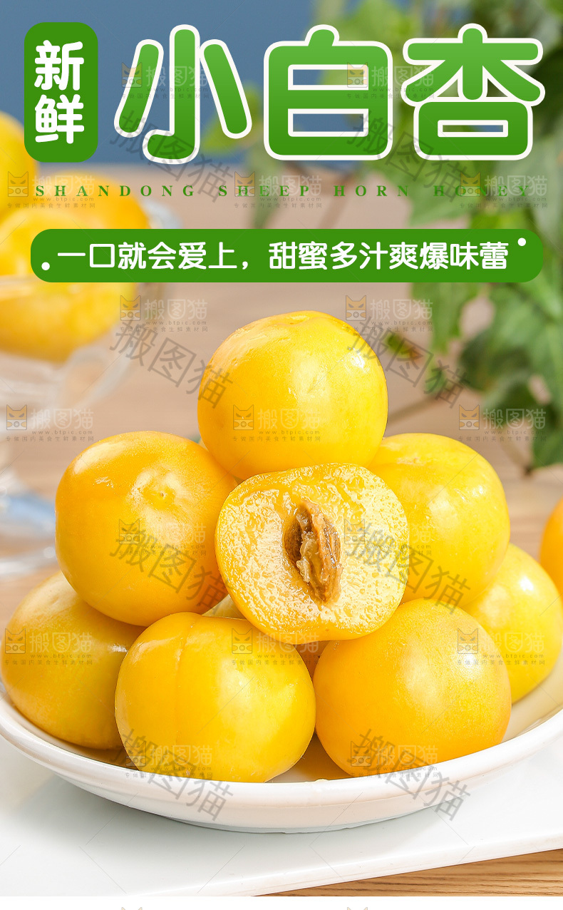 小白杏详情页