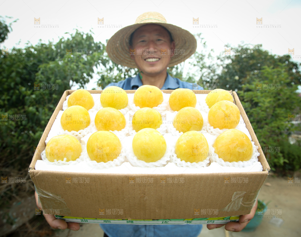 桃花李