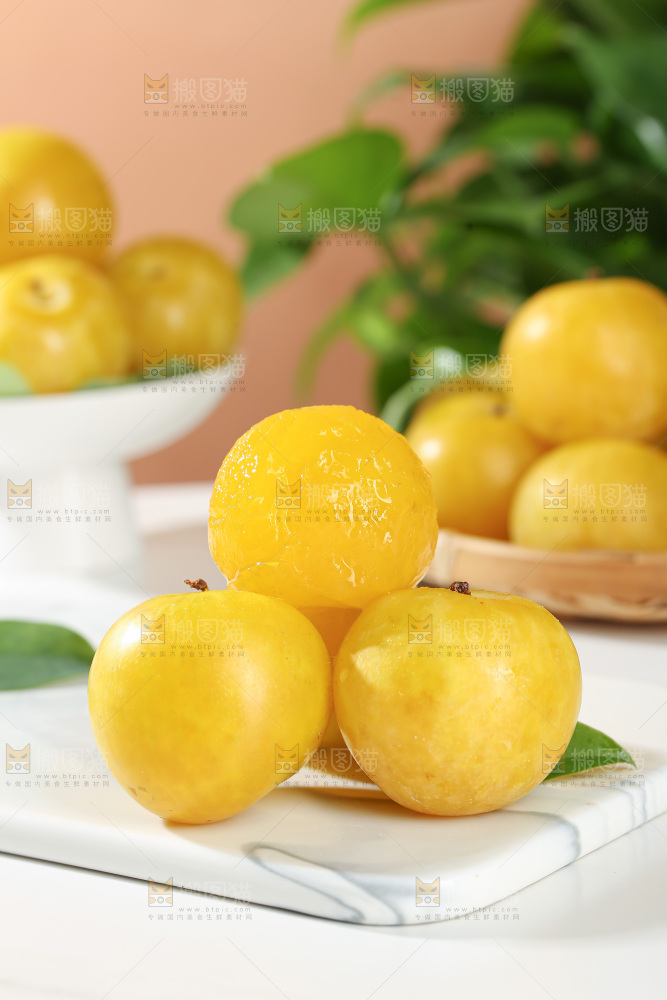 桃花李