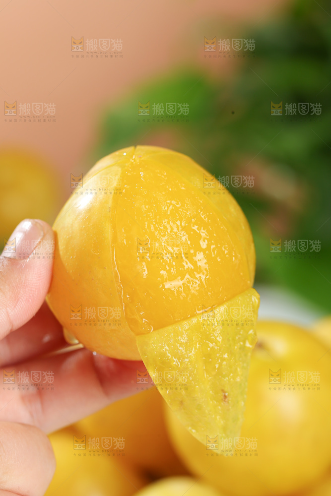 桃花李