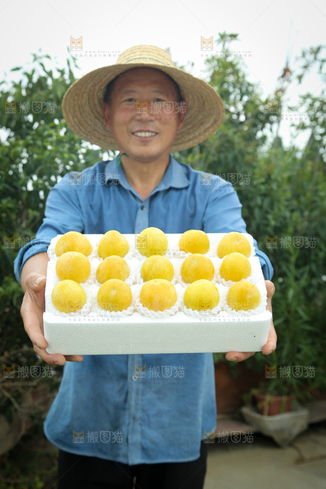 桃花李