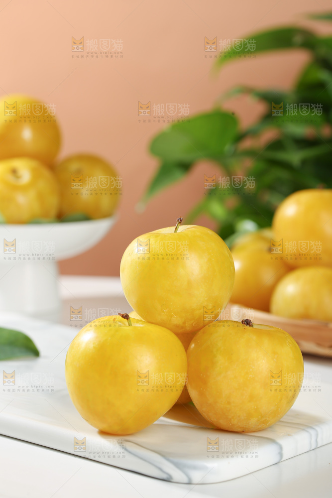 桃花李