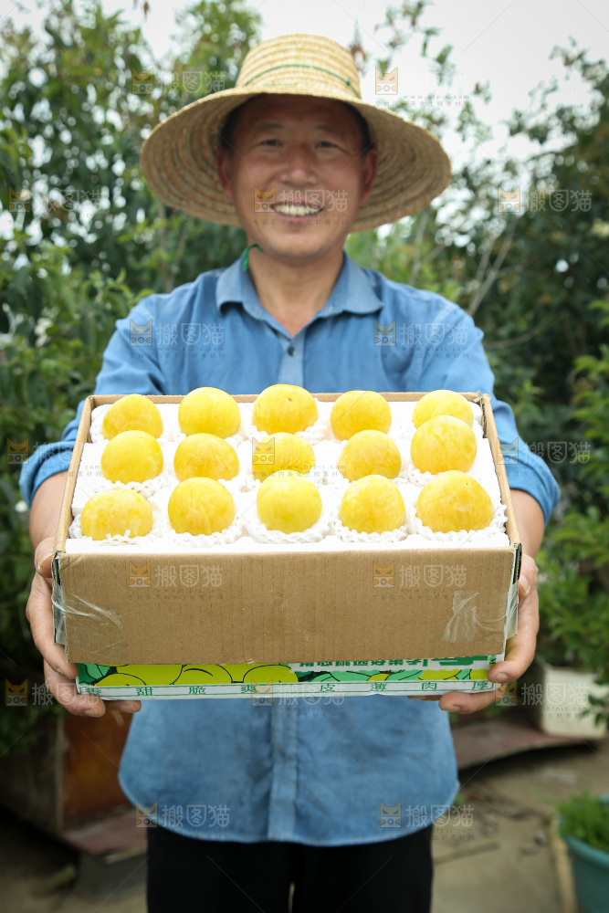 桃花李