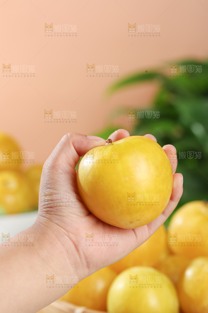 桃花李