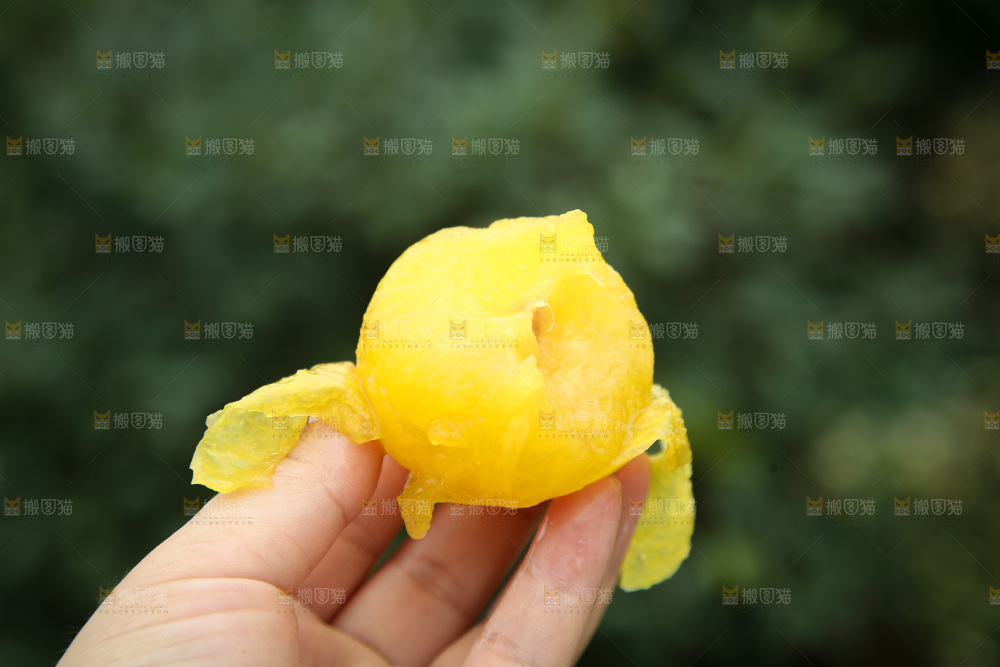 桃花李