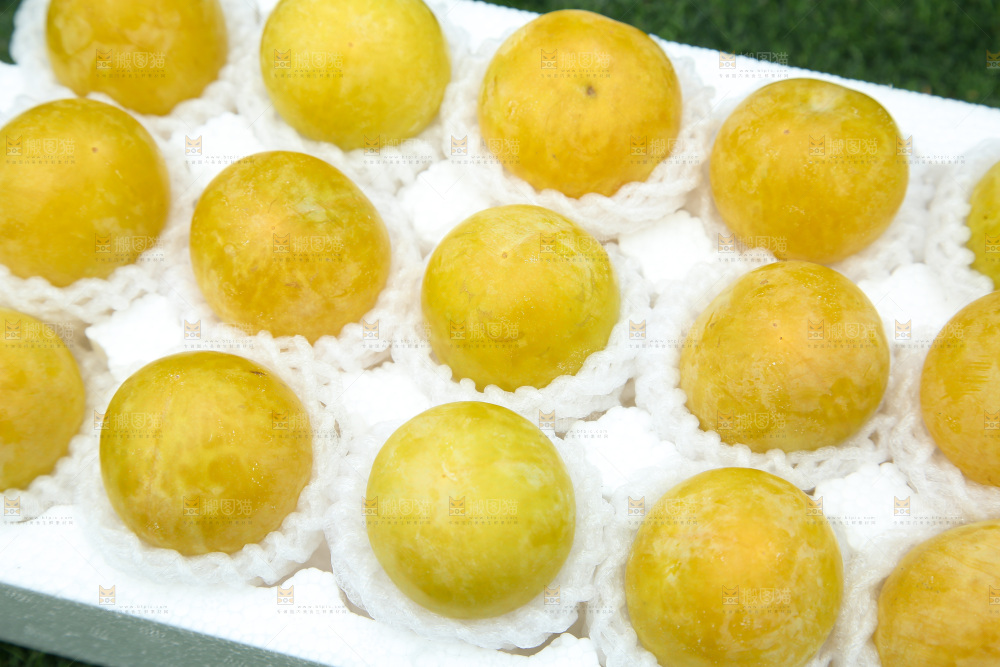 桃花李