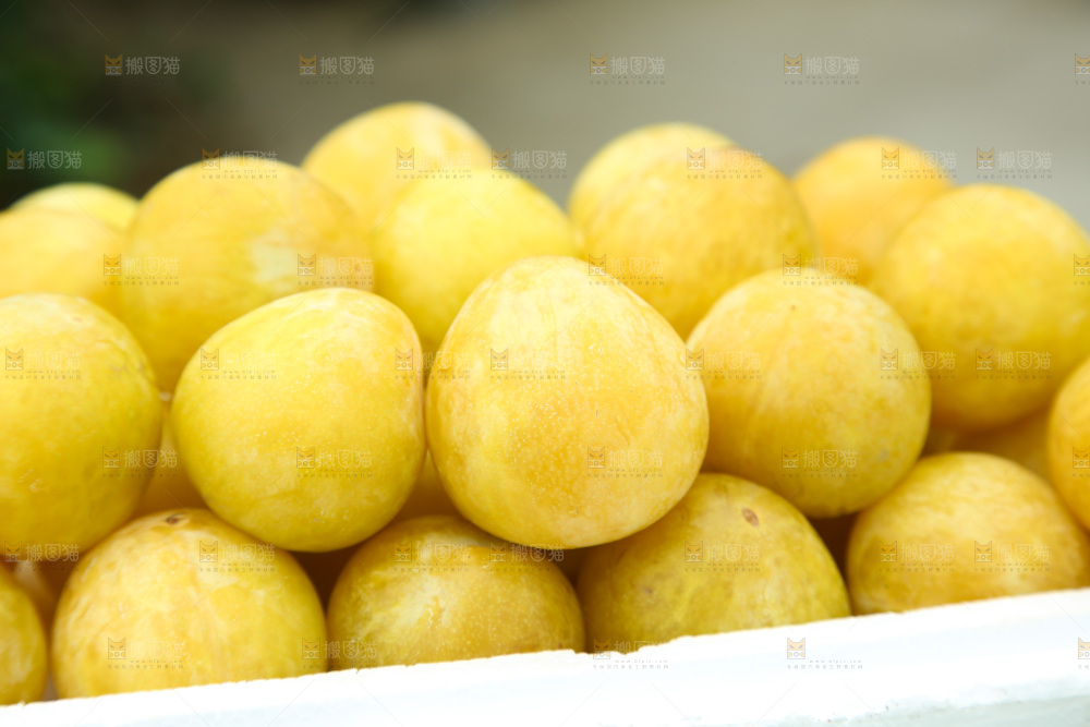 桃花李