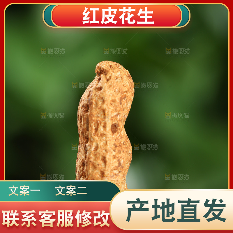 红皮花生