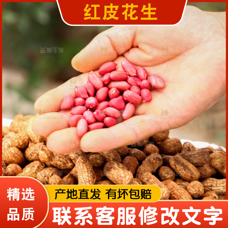 红皮花生