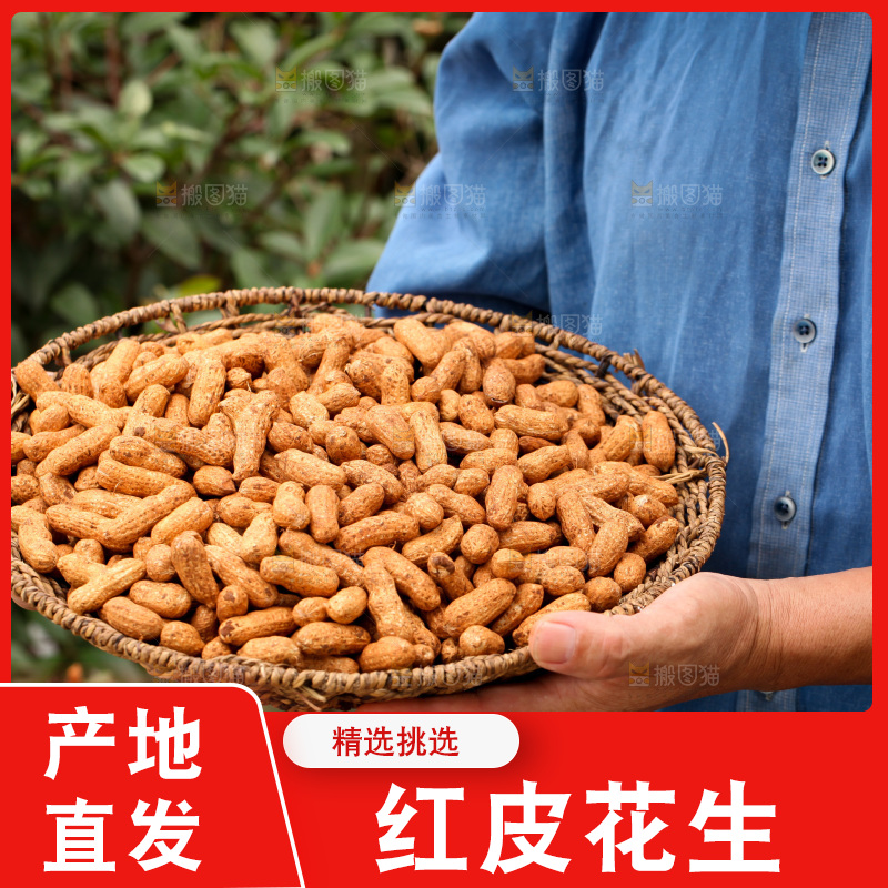 红皮花生