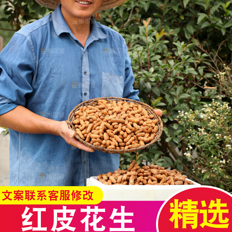 红皮花生