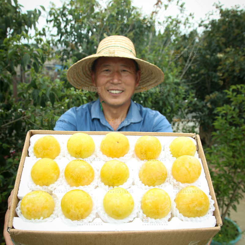 桃花李