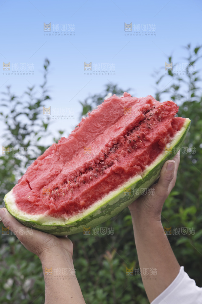 石头瓜