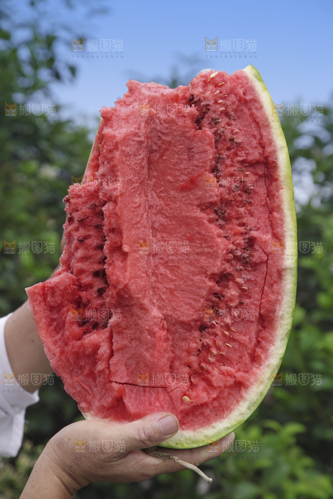 石头瓜