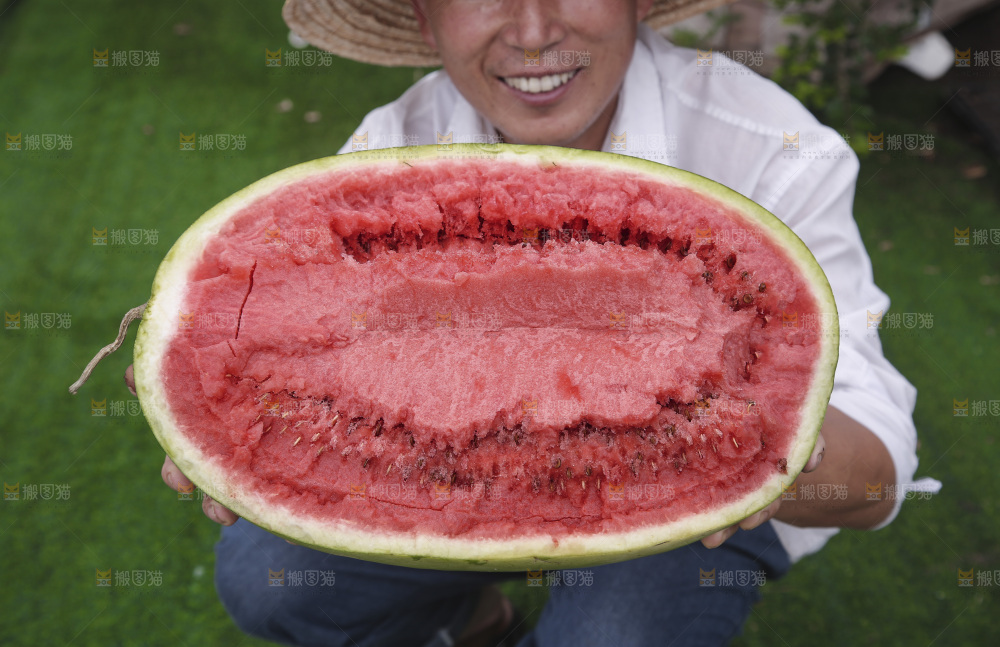 石头瓜