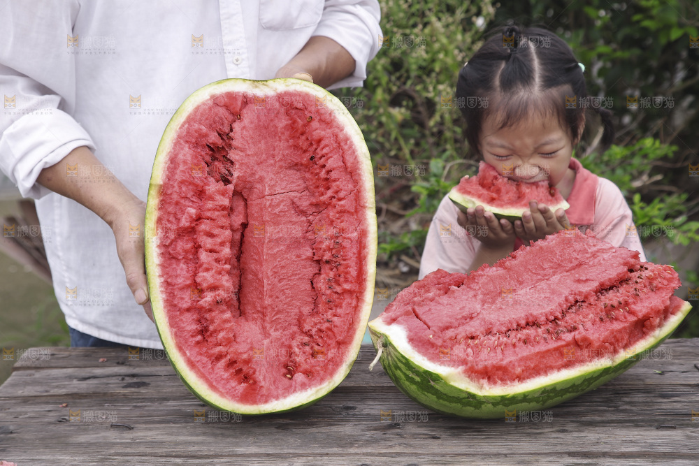 石头瓜