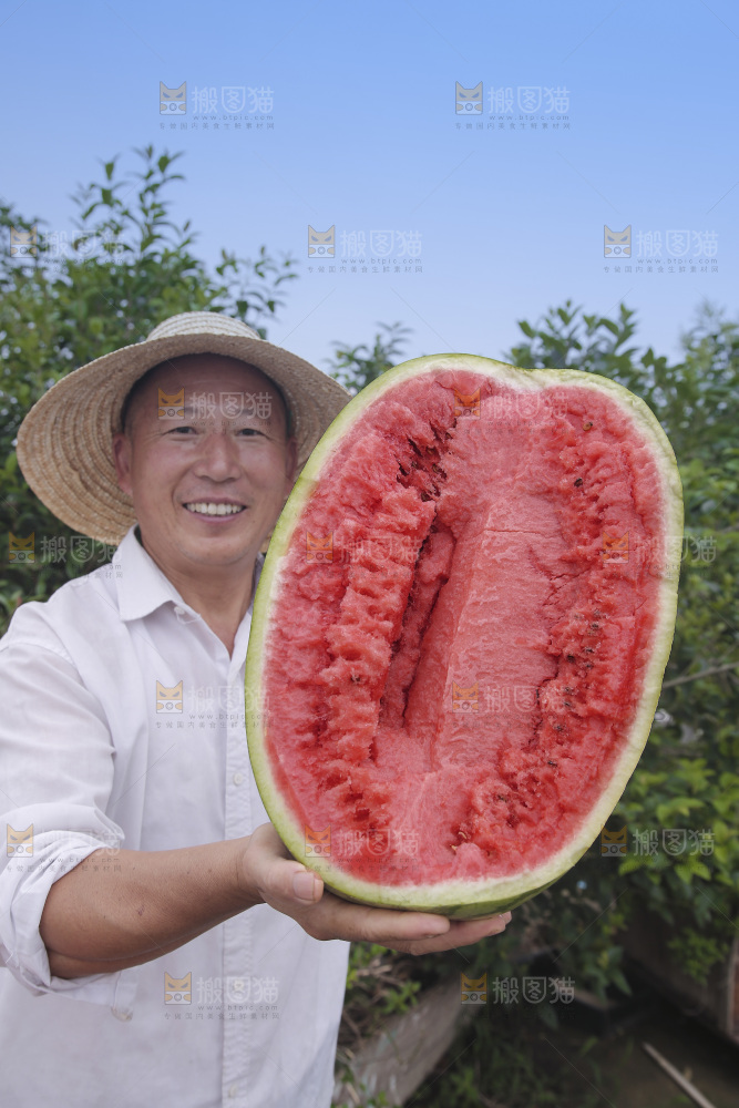 石头瓜