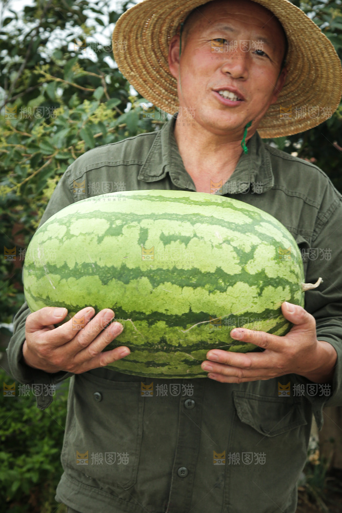 石头瓜