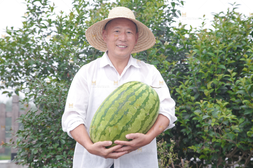 石头瓜